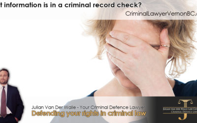 What information is in a criminal record check?