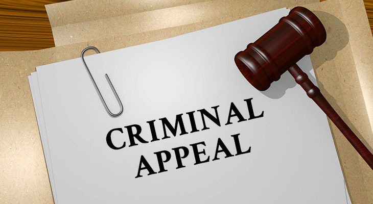 Criminal appeals in Vernon BC
